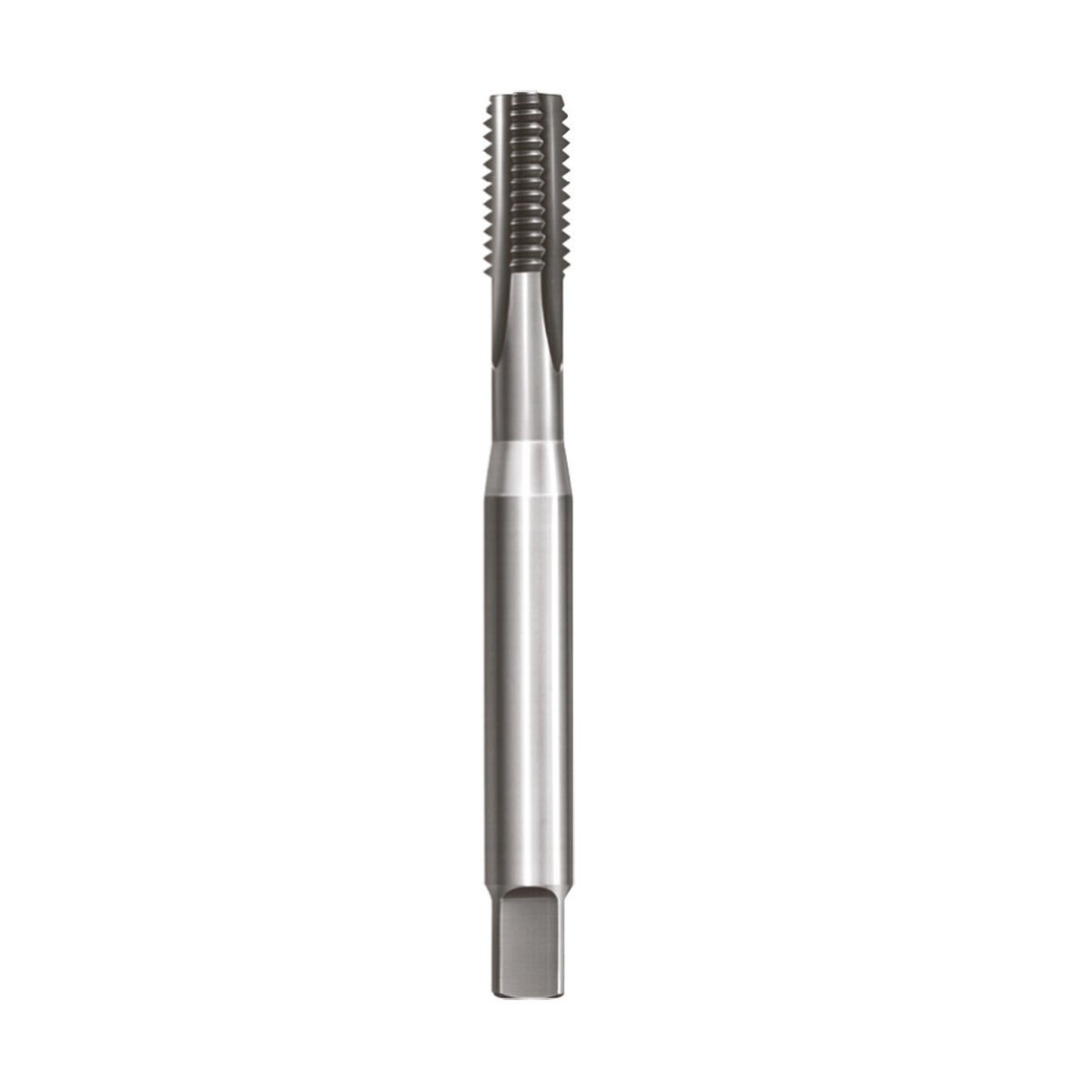 M5 MAKİNE KILAVUZU DÜZ KANAL DIN371/C HSS